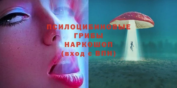МДПВ Лагань