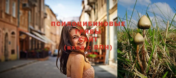 а пвп мука Ладушкин