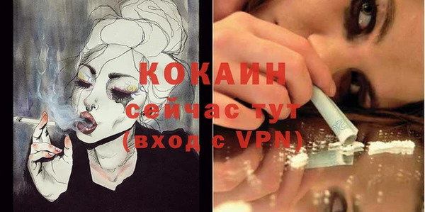 МДПВ Лагань