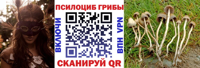 Псилоцибиновые грибы GOLDEN TEACHER kraken как зайти Нюрба